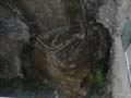 PICT0231