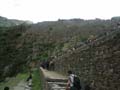 PICT0005
