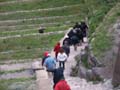 PICT0095