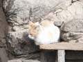 PICT0161