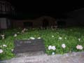 PICT0181