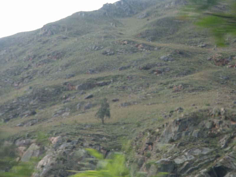 PICT0027