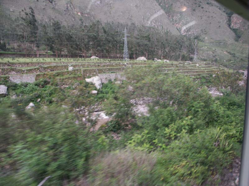 PICT0028