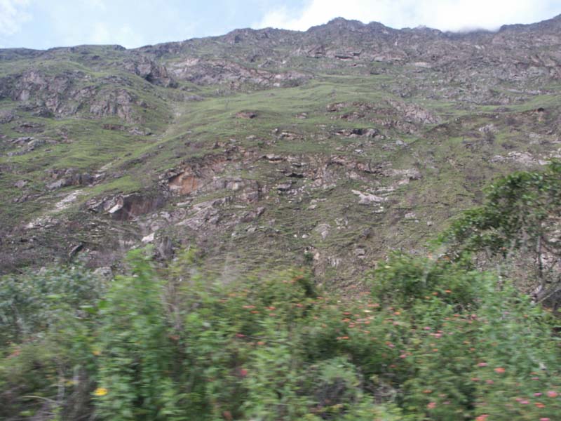 PICT0031