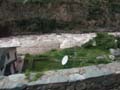 PICT0017