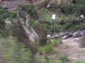 PICT0019