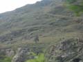 PICT0027
