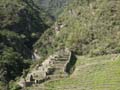 PICT0041