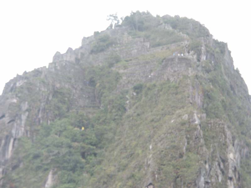 PICT0155