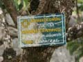 PICT0348