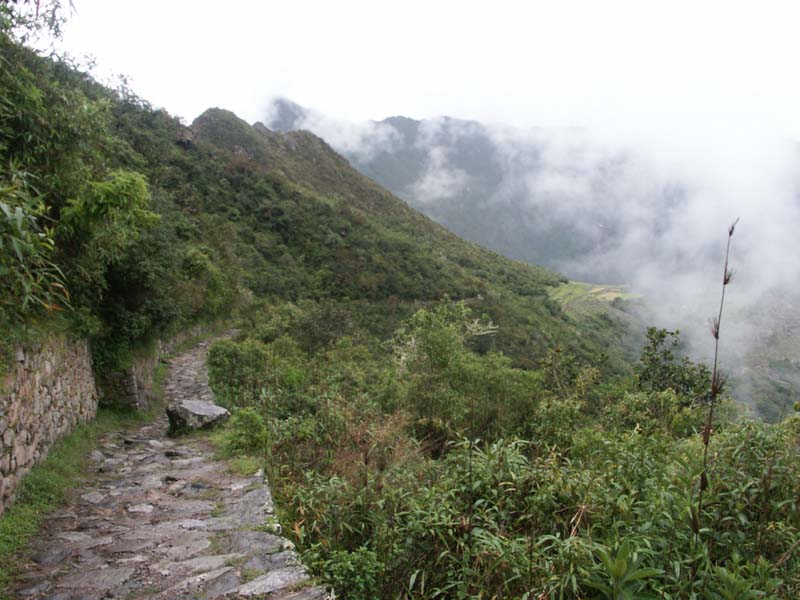 PICT0009