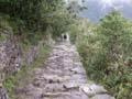 PICT0011