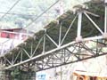 PICT0033