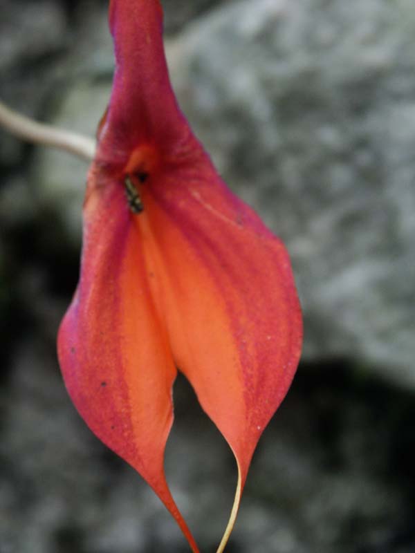PICT0001