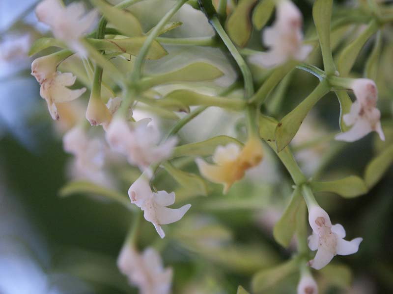 PICT0006