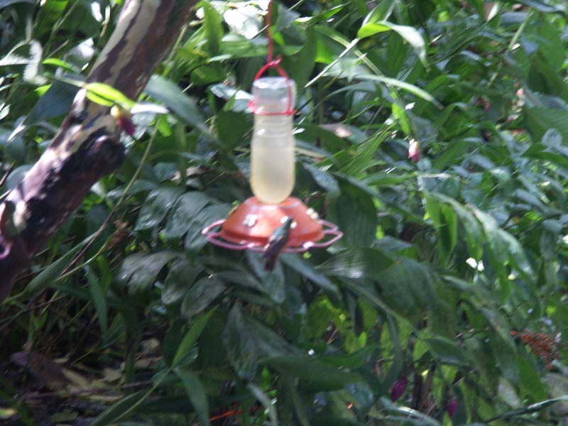 PICT0007