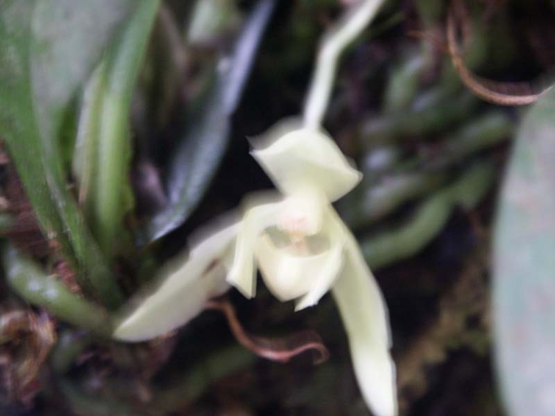 PICT0012