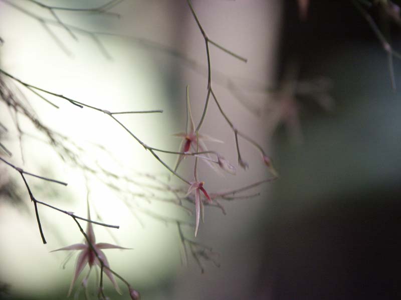 PICT0014
