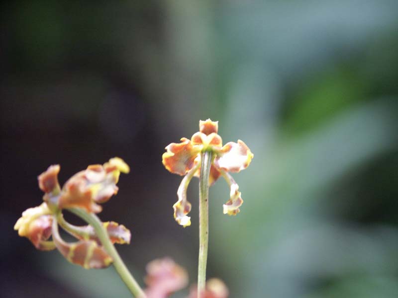 PICT0016