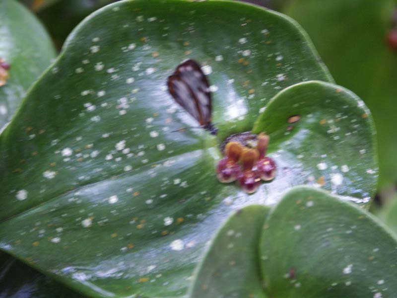 PICT0017