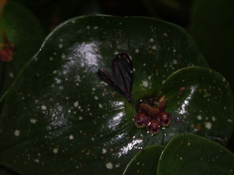 PICT0018