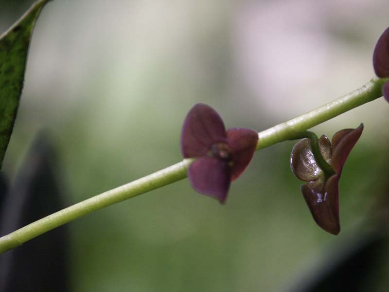 PICT0021