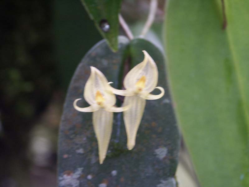 PICT0023