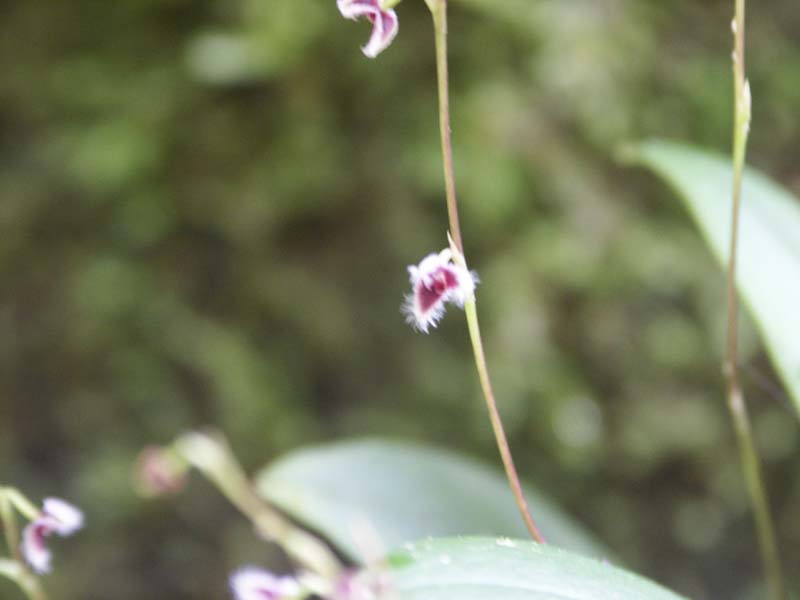 PICT0029