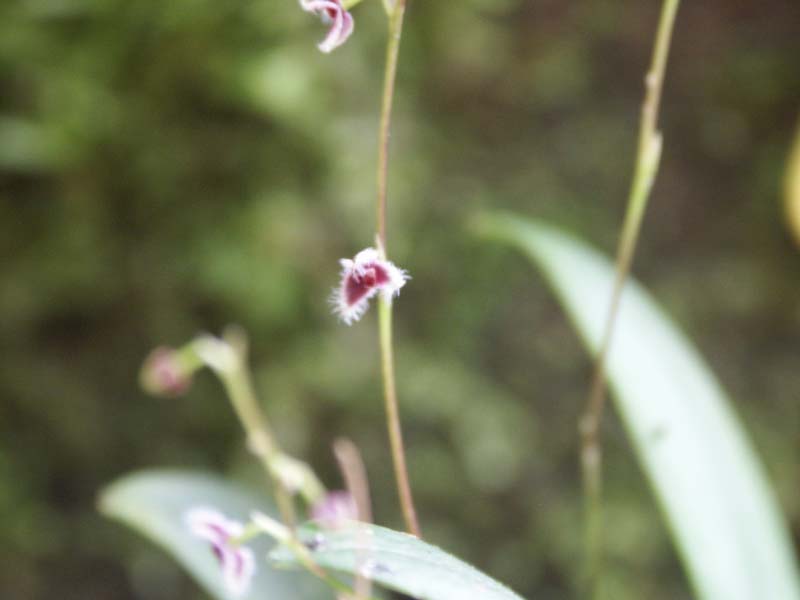 PICT0030