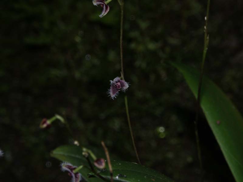 PICT0031