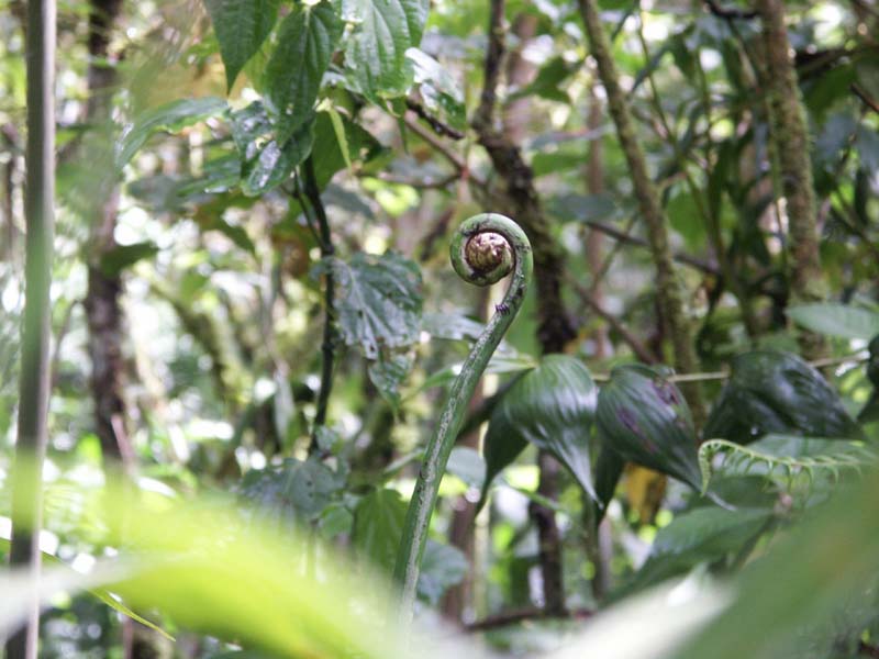 PICT0034