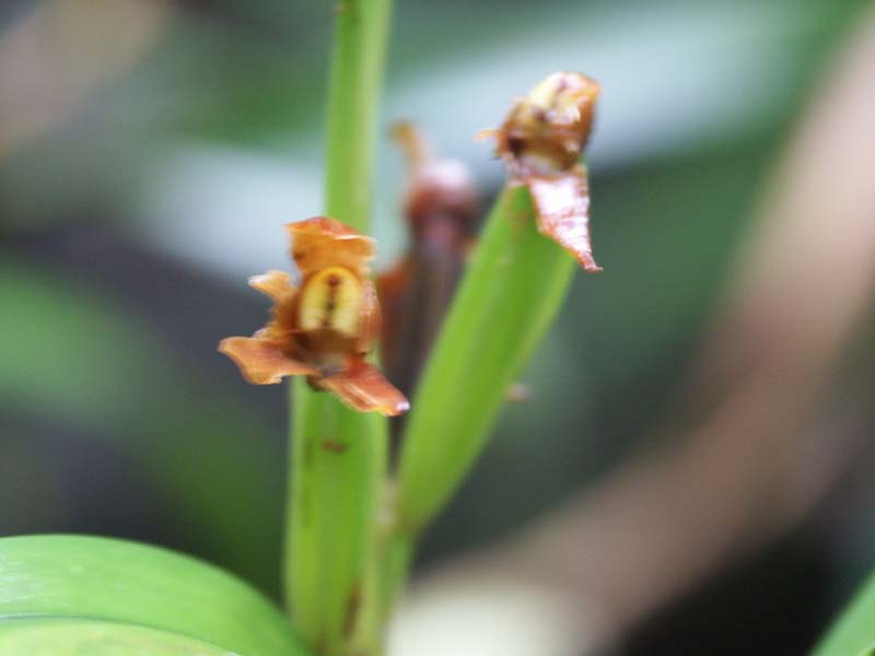 PICT0038
