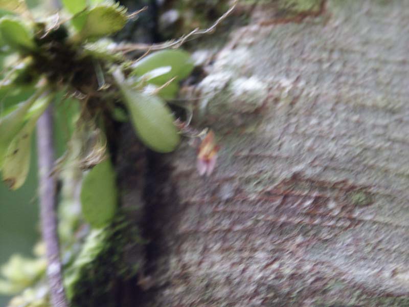 PICT0042