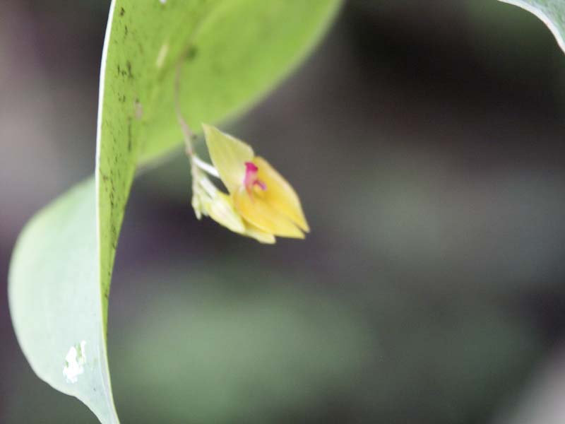 PICT0048
