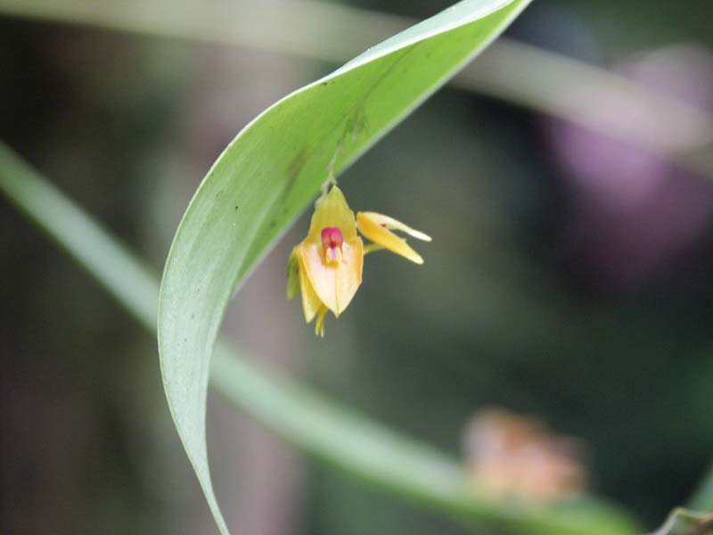 PICT0049