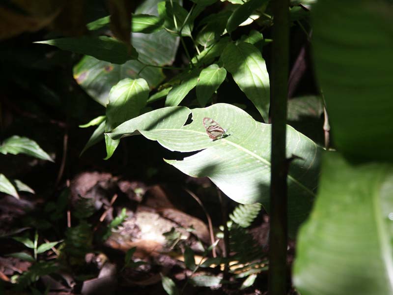 PICT0052