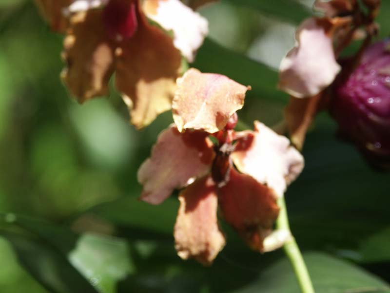 PICT0055