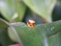 PICT0015