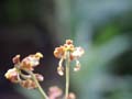 PICT0016