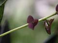 PICT0021