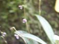 PICT0028
