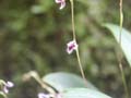 PICT0029