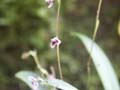 PICT0030