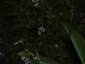 PICT0031