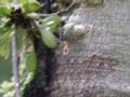 PICT0042