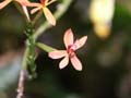PICT0046