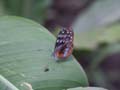PICT0053