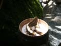 PICT0058