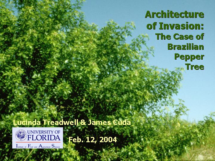 Architecture of invasion: the case of Brazilian pepper