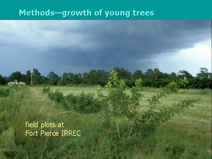 graph: effect of defoliation on flower & fruit production